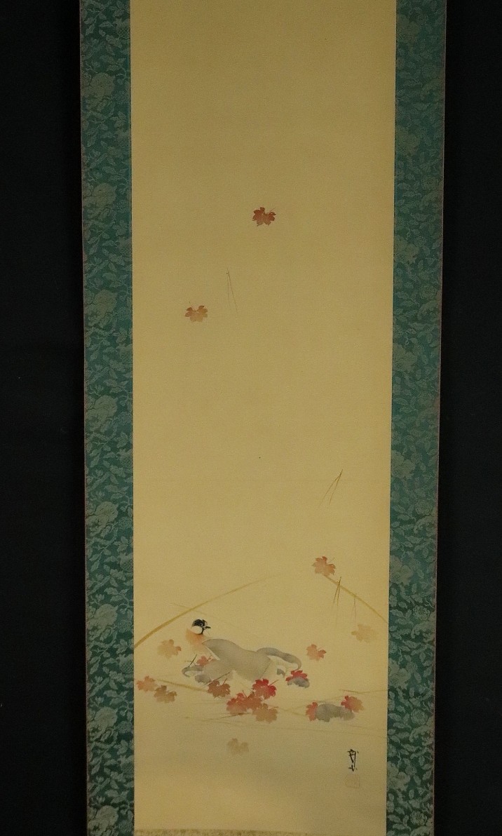 此商品圖像無法被轉載請進入原始網查看